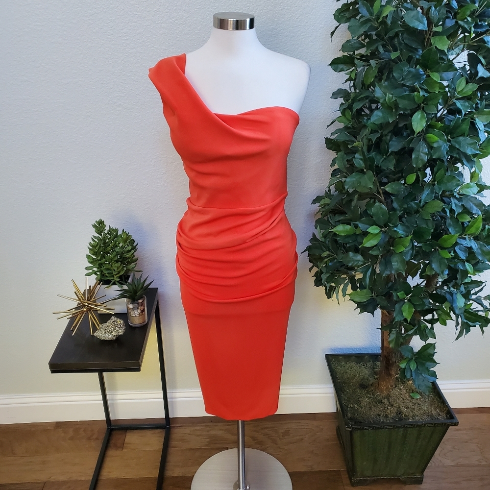 NWT Ruffled One-Shoulder Dress - Picture 7 of 8